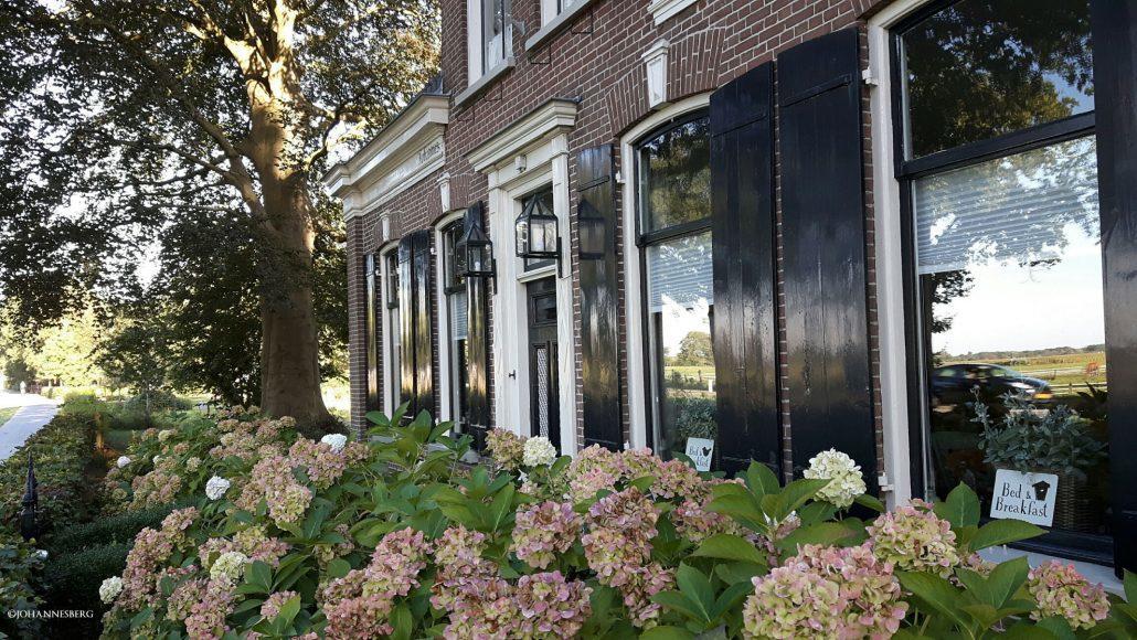 Johannesberg * Oldebroek